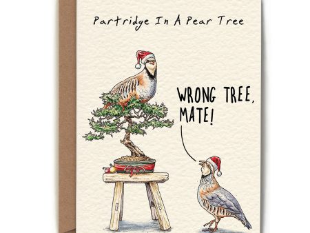 Partridge In A Tree Card on Sale