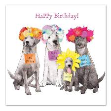 Best in Show Birthday Dogs Napkin Hot on Sale